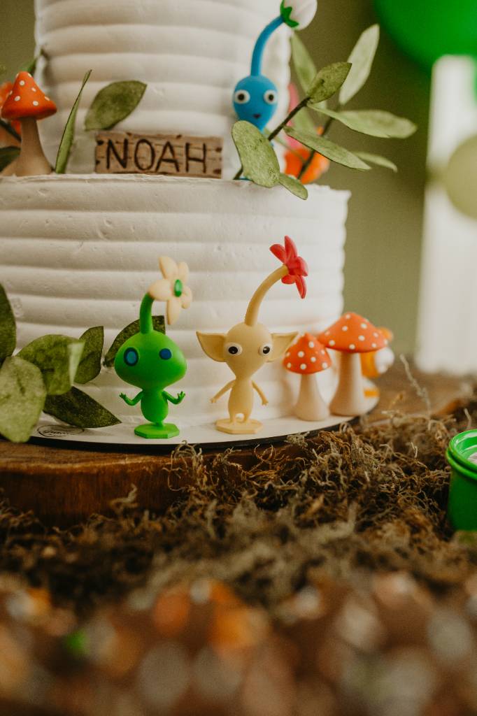 PIKMIN - 8 anos do meu filho Noah 